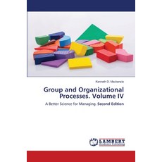 (英文圖書)Group and Organizational Processes. Volume IV 平裝版, LAP Lambert Academic Publis..., 英文