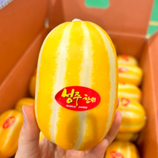 방금따온 성주 꿀참외 가정용 a oriental melon, 1박스, 2kg (랜덤과)