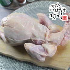 늘찬 약간 하자 있는 백숙용 생닭 냉장, 3개, 1kg