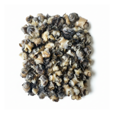 국내산 논우렁 우렁이살 (냉동) 진안 양평, 1개, 논우렁 10kg