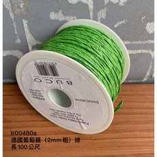 BUCO 德國進口 裝飾緞帶 100米, 綠色, 1個