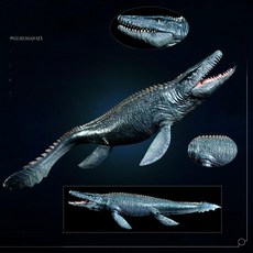 고대상어 메갈로돈 헬리코프리온 모사사우루스 피규어, 섀도우 에디션 전기 거북이