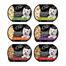 시저 심플리 크래프티드 강아지캔 건강한 보완식, 6개, 37g, 6종 혼합맛