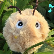 909커머스 헌팅버드 고양이새장난감 장난감 새 고양이 자동, 1개, 브라운 라쿤, 기본 모델명/품번