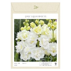 금어초 겹꽃 스냅스타 화이트 씨앗 20립 (유아그린/A0307)