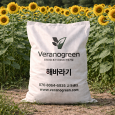 해바라기 씨앗 1kg 야생화씨앗 산림종자, 1개