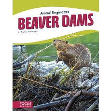 Beaver Dams Library Binding, Focus Readers