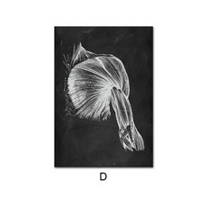 인간의 해부학 포스터, 40x50cm 프레임 없음, NQ321D