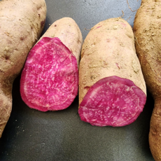 고구마 자색고구마 25년 수확 우가네농장 국산, 1개, 자색고구마(혼합) 2kg