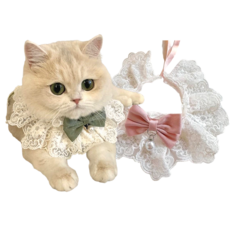 핸드메이드 1+1 반려동물 케이프 26종, 1개, 펄 그린+핑크[진주]