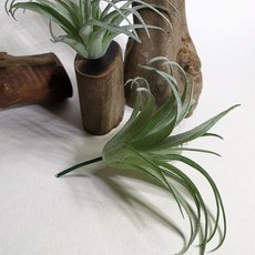 仿真空氣鳳梨人造植物擺飾, P104仿真多肉+木頭底座(隨機), 1套
