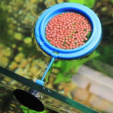 관상어밥그릇 열대어 물고기먹이틀 피딩트레이 급여, 1개