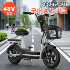 진성바이크 3세대 전기자전거 고출력 출퇴근용 전동바이크 전기스쿠터 48V 분리형 배터리, 블랙, 하이텐강