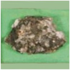 교과서 핵심광물표본(휘석) hs-2070 / 40X50mm