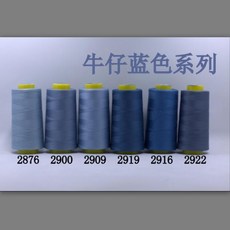 拾光優選好物 柳青牌縫紉線柳青線402彩色系列縫衣細線3000Y 2700米 家用線, 牛仔藍色系列一組6只, 1個