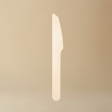 지구사랑 카페용품 벌크포장 일회용 나이프 나무나이프 140mm 100개입, 1개, 100개