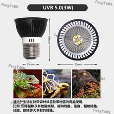 台灣現貨爬蟲燈罩 獨立開關 陶瓷燈頭 耐高溫 聚光聚熱 不易變形 不易腐蝕磨損 陸龜燈罩 烏龜燈罩 uvb燈罩, 1個, uvb補鈣燈-5.0-110v