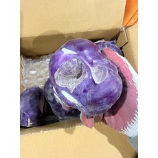 제주 못난이 콜라비 10kg 가성비