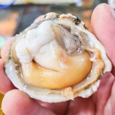 제철 노랑 새조개 샤브샤브 손질, 1박스, 250g, 최상급 완전손질 새조개