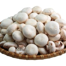 양송이버섯 1kg 못난이양송이 부여 산지직송 당일수확, 단품, 단품