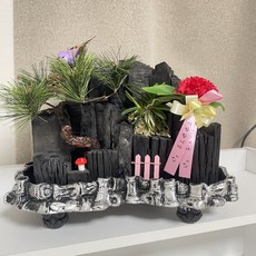 카네이션 숯화분 울타리(중) 어버이날 스승의날 선물, 1개