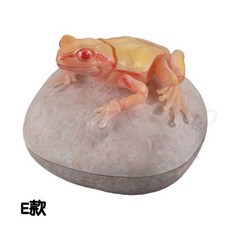 【M.M小舖 現貨】BANDAI 轉蛋 扭蛋 生物大圖鑑進擊 日本雨蛙 P2 青蛙 模型 圖鑑 生物 可動 全5款, 1個, E款/紅色東北雨蛙2F