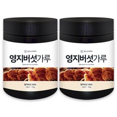 헬로우그린 국내산 영지 버섯 가루 130g(통), 2개
