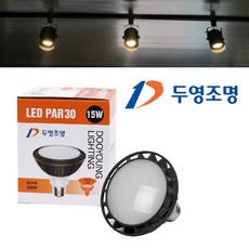 두영조명 LED 램프 PAR30 확산형 레일등 15W, 전구색, 4개