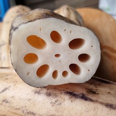 국내산 생연근 국산연근 암연근 흙연근, 1kg, 1박스, 연근  1kg