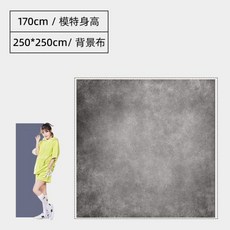 대형 배경천 증명 사진뒷배경 신분증 뒷배경 사진관 사진, E. 250x250 cm