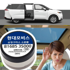 현대모비스 파노라마 썬루프 전용 순정 구리스 81685-3S000 소분 수리 소음 잡음 해결 816853S000 슬라이딩도어 창문 잡소리 뻑뻑함 문제 방법 DIY, 컨텐츠 참조, 81685 3S000