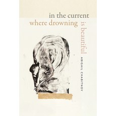 (영문도서) In the Current Where Drowning Is Beautiful Hardcover, Wesleyan University Press, English, 9780819500120