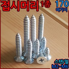 접시머리 태핑 나사 피스 스크류 나사못 1종 스텐 M2 M3 M5 M6 2종 M4x16, 1-1 스텐접시1종(M2), c)2x8mm-48개, 1개