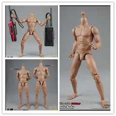 COOMODEL BD003 BD004 1/6 肌肉男素體 2.0 標準/增高, 1個