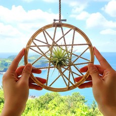 이오난사 화분 만들기 장식 자수틀리스 틸란드시아 DIY 노인 어르신 중학생 수업 재료, 이오난사 자수 틀 리스(P0000BQJ)