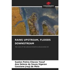 (영문도서)Rains Upstream Floods Downstream Paperback, Our Knowledge Publishing, English, 9786200400956