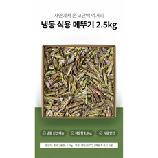 가리봉상회 중국산 냉동 식용메뚜기, 1박스, 2.5kg
