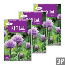 세인화분 차이브 400립 - 허브씨앗, 3개