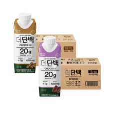 빙그레 더단백 프로틴음료 단백질 드링크 250ml 초코맛 + 커피맛, 36개, 36개