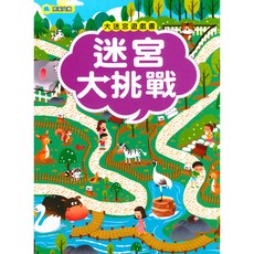 京采國小 大迷宮遊戲書 迷宮大挑戰-易讀書坊 兒童益智遊戲 訓練邏輯思維, 京采