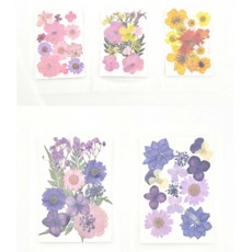 배리앤굿 압화 누름꽃 생화 드라이플라워 레진 공예 다꾸 재료 스티커, B