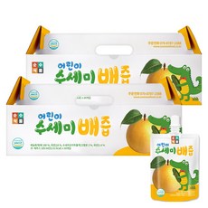 순수식품 어린이 수세미 배즙, 100ml, 60개