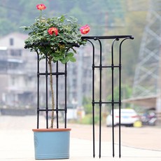 21세기트랜드 스프링 식물 지지대, 지름28cm 높이155cm