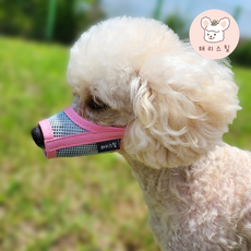 해리스힐 초경량 메쉬 컬러 입마개 XS, 1개, 코튼핑크