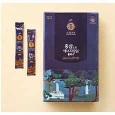 김정환 홍삼 홍삼으로 에너지타임 플러스 100일분, 1개, 100회분
