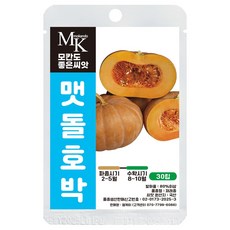 모칸도 좋은씨앗 호박 씨앗 30립 국산 맷돌 조선호박 씨앗, 1개