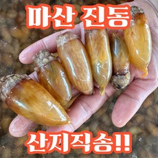 [마산진동] 산지직송 국내산 미더덕 특품 횟감용, 1개, 1kg