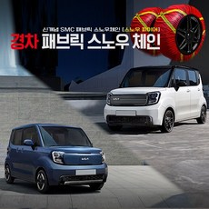직물체인 패브릭 스노우체인 Ray 2p 1세트 미끄럼방지 간단설치 레이 경차전용, 1개