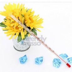 YUIL 알콜온도계 AL-50C(180mm) 10개 대용량온도계, 1개