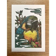 鸚鵡小木屋寧子 金剛鸚鵡手繪明信片，精美藝術明信片，手繪鸚鵡圖案，傳遞溫馨祝福, 1個